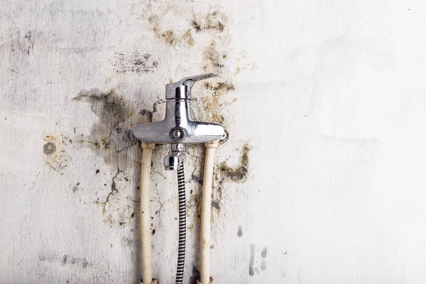 Best Mold Cleaning Services  in Brockway, PA