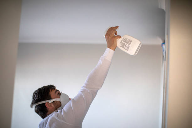 Office Mold Removal Services in Brockway, PA