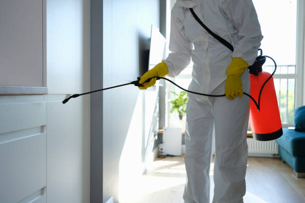 Best Mold Removal Specialists  in Brockway, PA