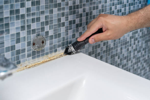 Brockway, PA Mold Removal Company