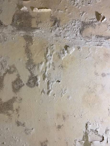 Crawl Space Mold Removal in Brockway, PA